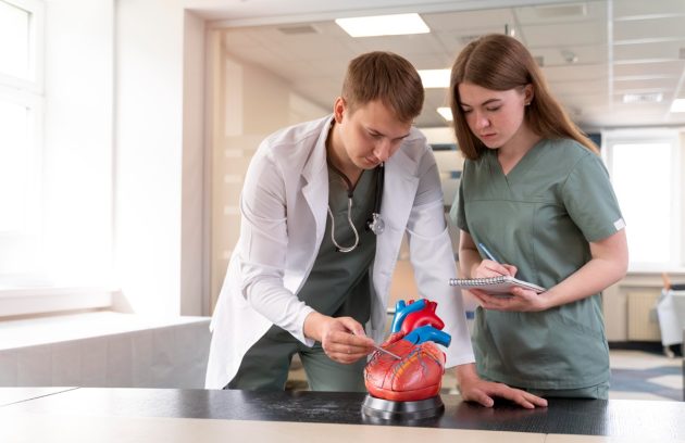 Angiogram vs Angioplasty Differences, Uses & What to Expect